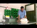 Guinea Pig & Rabbit Care : How to Breed Rabbits