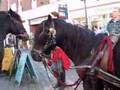 gypsy wagons glastonbury market cross part 2