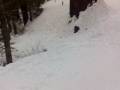 videos de Parque de Sequoias Gigantes