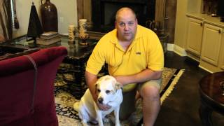 <h5>Buccola Testimonial</h5><p>"They've done outstanding work!"</p>