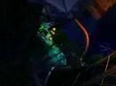 Flight of Darkness