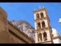 The Sinai Peninsula