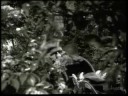 Jasam-What Hurts The Most