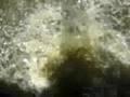 videos de ciencias.romy.chimicuil