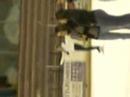 capu patinoire