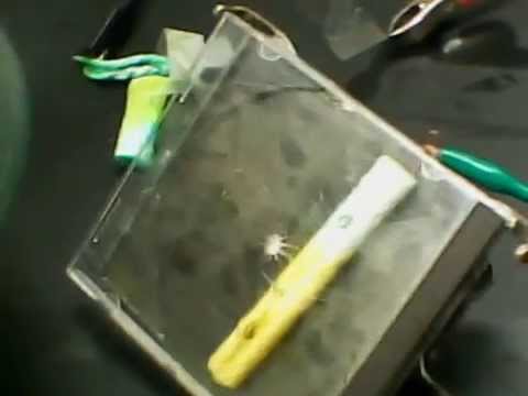 how to dissolve chitin