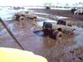 Buggies-pulling-mud-