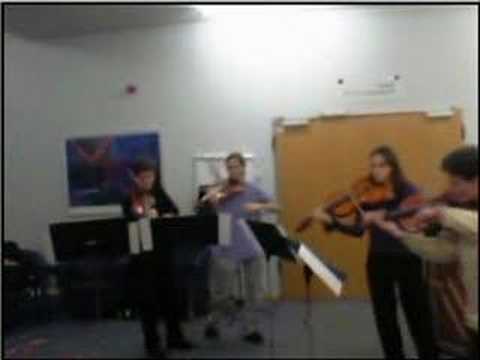 Stamitz viola concerto for 4 violas ...