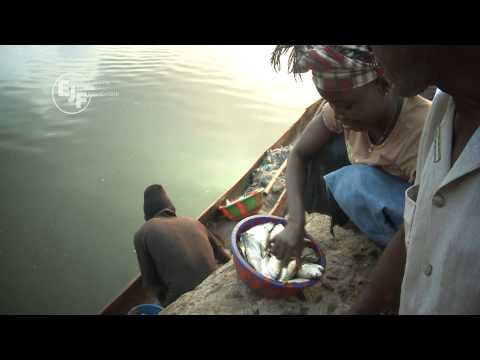pirate fishing 2 - Sierra Leone, a small coastal state in West Africa, has seen a dramatic drop in Illegal, Unreported and Unregulated (IUU) or 'pirate' Fishing following a gro...