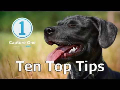 Ten Top Tips for Capture One 12