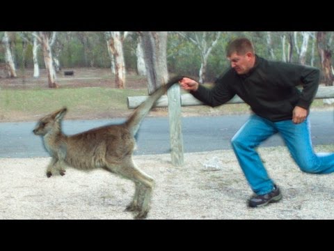 99 - Want a free Audio Book?: http://bit.ly/AudibleSED A special thanks to our Moms for keeping the kids! Science Alert brought me to Australia for National Scien...