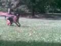 videos de Cupper 11 months old 3