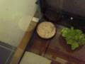 videos de My room!!