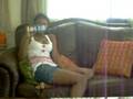 raymi