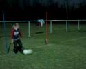 video izle