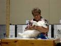 Rag Time in Kansas City Cat Show