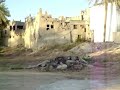 جزيرة تاروت