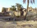 Tarout Island جزيرة الكنز (تاروت) -2008