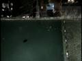 videos de bungee aca