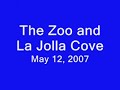 zoo and la jolla cove