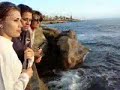 zoo and la jolla cove