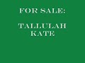 Scopey Event & H/J Pony For Sale