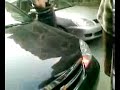 عمار يا مصر