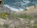 Mojacar & Mojacar Pueblo, Almeria, Spain