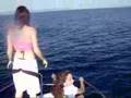 Dauphins La Ciotat