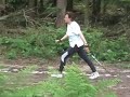 nordic-walking-speed-power-high-speed.html