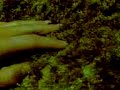 hand-attack-camuz-documetary-on-everything.html
