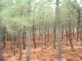 travelin en vilaboa
