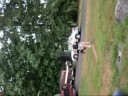 crazy boys doing crazy things