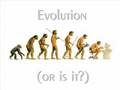 An Argument for Theism from Evolution