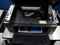 Epson CX5600 com o Kit Bulk Fácil Epson CX5600 com o Kit Bulk Fácil