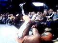 mascarita dorada