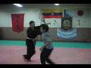 aiki-kung-jutsu