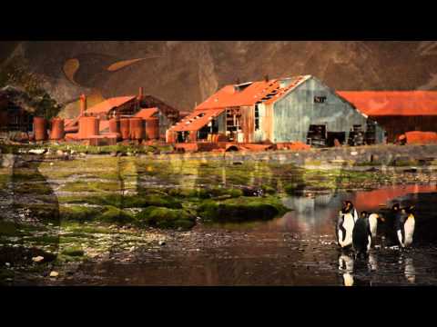 Watch 'Tuxedo Shore'