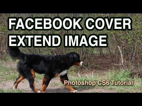 how to fit facebook profile picture