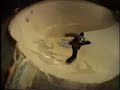 Emerica - This Is Skateboarding - Darren Navarette Emerica - This Is Skateboarding - Darren Navarette