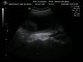 4Dscan