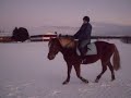 En film om Cadi,Åren 2004-2008