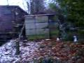 videos de i wish.wmv