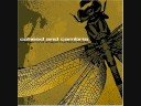 Coheed and Cambria IRO-Bot