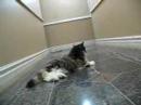Macrina in Hallway
