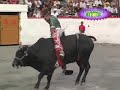 LOS DESTRUCTORES EN COLIMA,COLIMA 2008