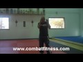 Diagonial Upper Cut Elbow.wmv