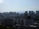punchbowl view all