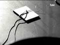 the bravery - an honest mistake.