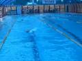 videos de TI Israel Coaches